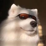 Avatar of Aisha Raza